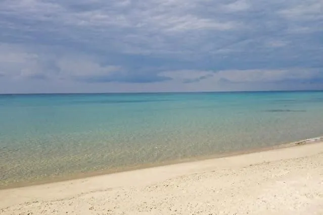 Kellys House 度假居